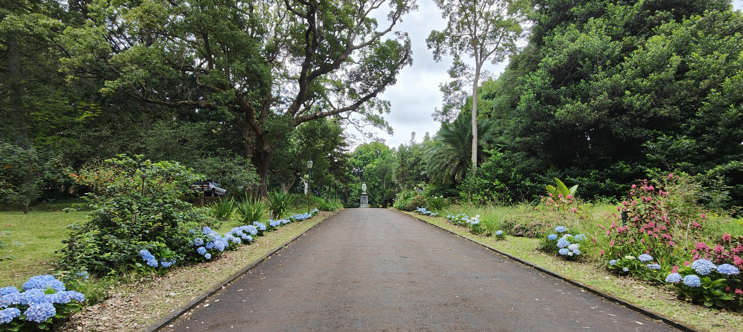 Jardin Botânico José do Canto